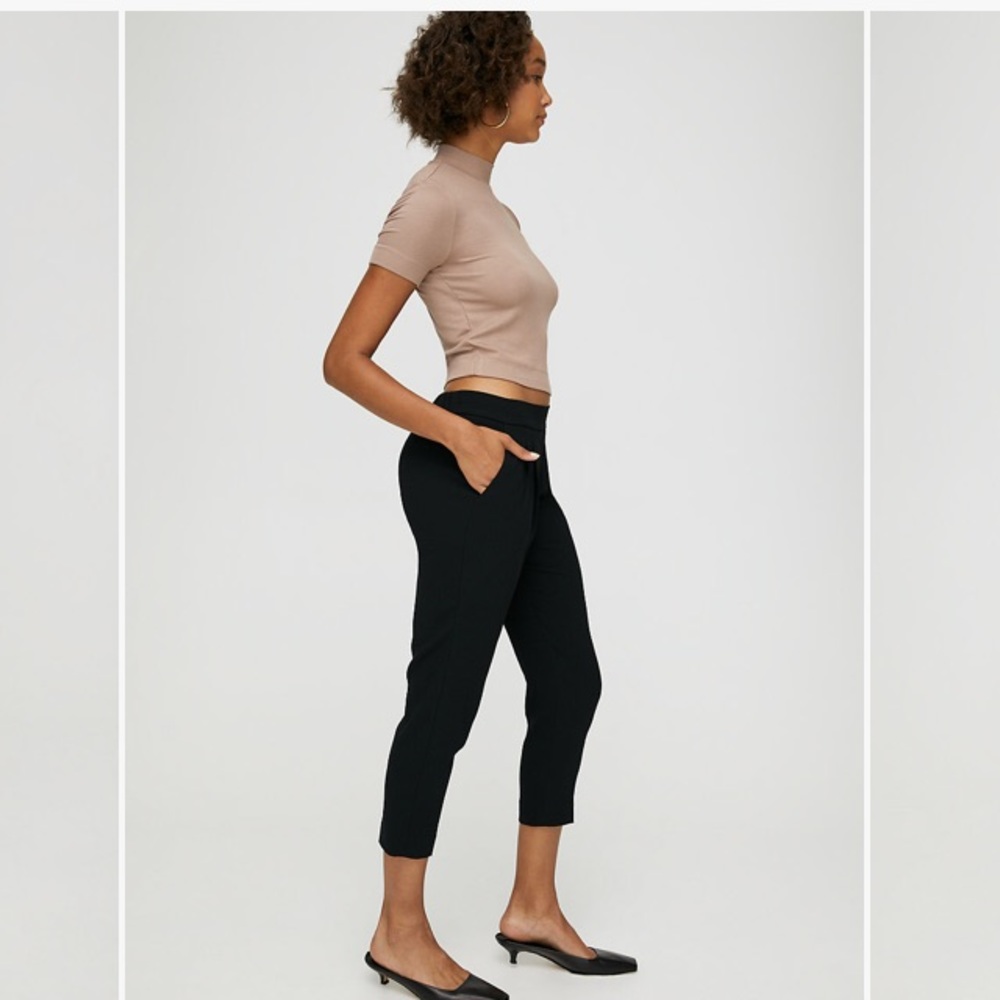 Aritzia Babaton Cohen Pant Terado - Picture 2 of 6
